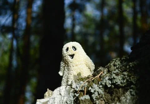 A smiling toy ghost stands on the bark of a tree in chiaroscuro Stock Photos