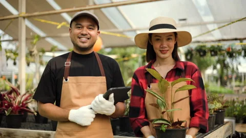 Smiling two gardener is happily taking care of plants in his garden in tree shop Stock Footage 224419930