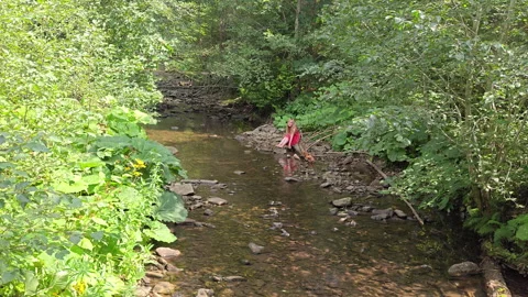 Smiling woman throwing stone into river wide shot in lush green forest Stock Footage 346074593