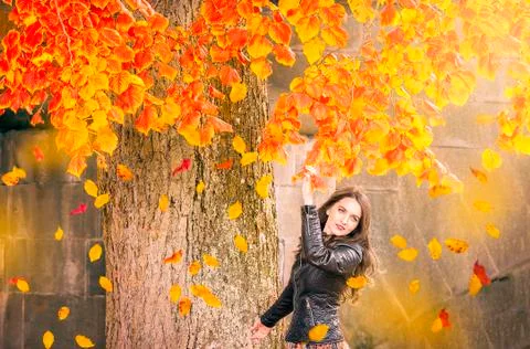 Smiling woman under a tree with falling leaves Stock Photos
