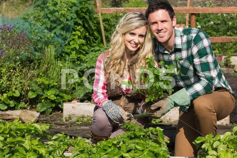 Smiling young couple crouchng in their garden holding a plant Stock-Fotos