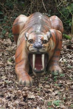 Smilodon Stock Photos
