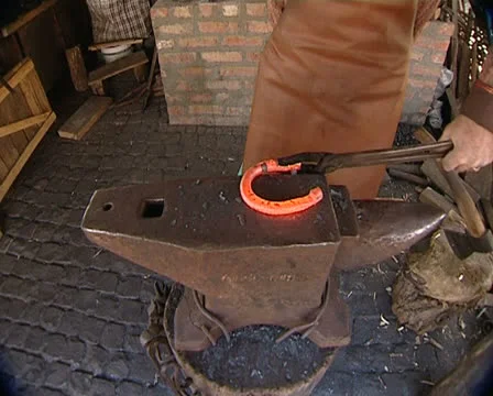 Smith Stock Footage 22480933