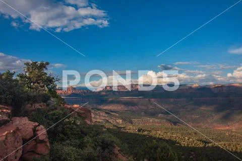 Smith Mesa overlook of Zion national park with scrbb tree and sandstone Stock Photos