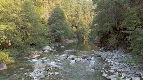Smith River Rapids Stock Footage