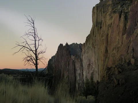 Smith Rock bare tree against sunrise sky Video stock 83229727