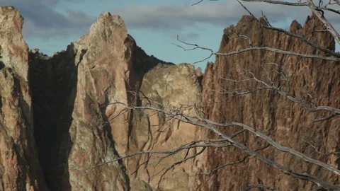 Smith Rock, Central Oregon, dead tree in front of rock wall Stock Footage 83180333
