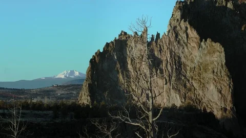 Smith Rock, OR- Bare Tree in front of massive rock wall Stock Footage 83231092