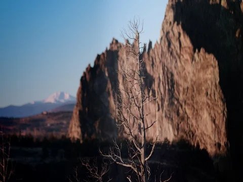 Smith Rock Wall and tree near Bend OR Video stock 83229160