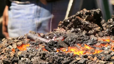 Smith Rose From Metal Video stock 52237649