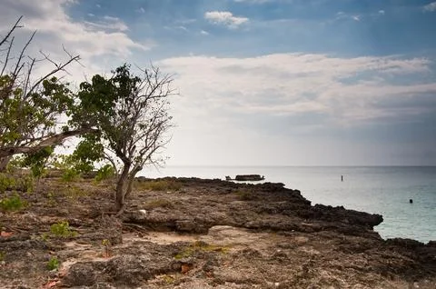 Smith's Cove Stock Photos