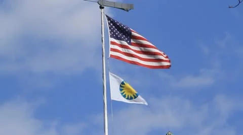 Smithsonian Institution &amp; US Flags waving Stock Footage 10848589