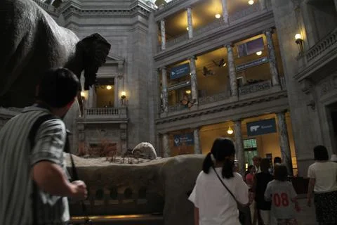 Smithsonian Museum Stock Photos