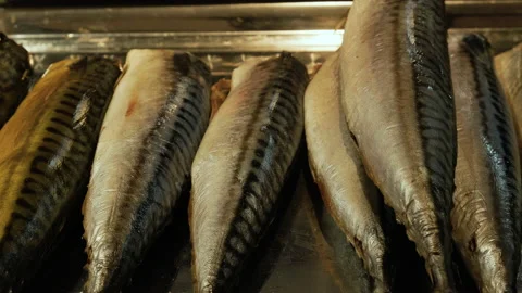 Smocked mackerel or scomber in a fish market. Seafood Stock Footage 218463893
