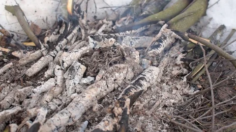 Smocking Charcoals of Fire Stock Footage 102407399