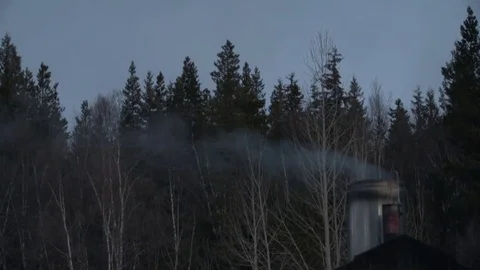 Smog in forest in Canada Video stock 76707307
