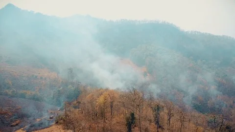 Smog of forest fires. Deforestation and Climate crisis. Toxic haze from Stock Footage 127284495
