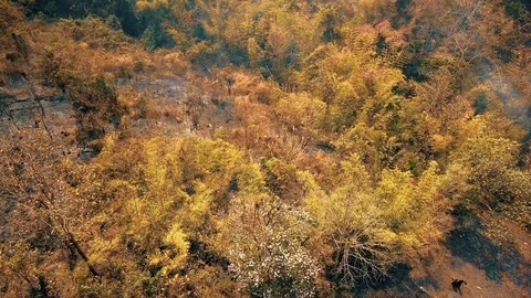 Smog of forest fires. Deforestation and Climate crisis. Toxic haze from Stock-Footage 129279798