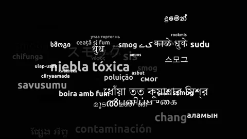 Smog Translated in 54 Worldwide Languages Endless Looping 3d Zooming Wordclou Stockbeeldmateriaal 145207962