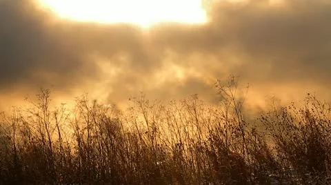 Smoke 004 Stock Footage 10825153