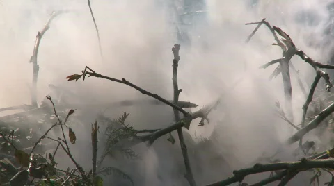 Smoke 2 Stock Footage 523093