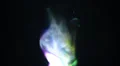 Smoke 60seconds 17 HD Footage