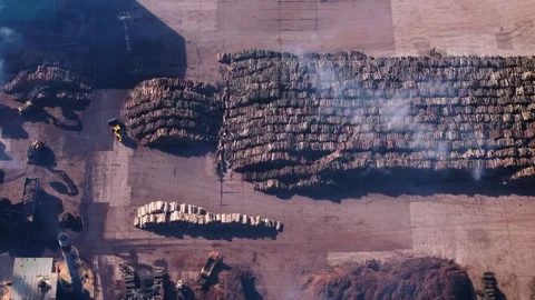 Smoke Above Stack Of Logs In Open Storage Area Stock Footage 268855647