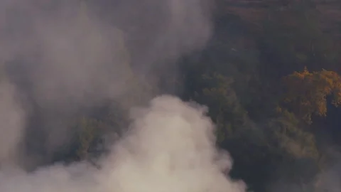 Smoke After Forest Fire In The Woods Vídeo Stock 100969049