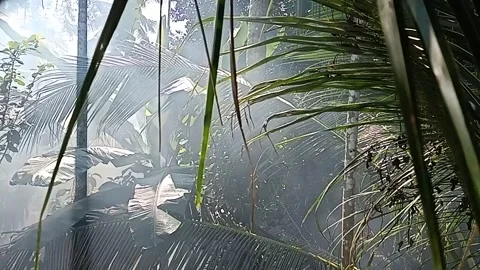 Smoke in the air Stock Footage 167297604