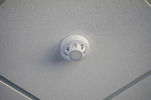 Smoke alarm sensor on a office ceiling 库存照片