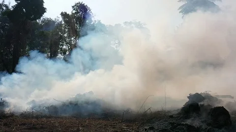 Smoke and bushfire Stock Footage 123905787