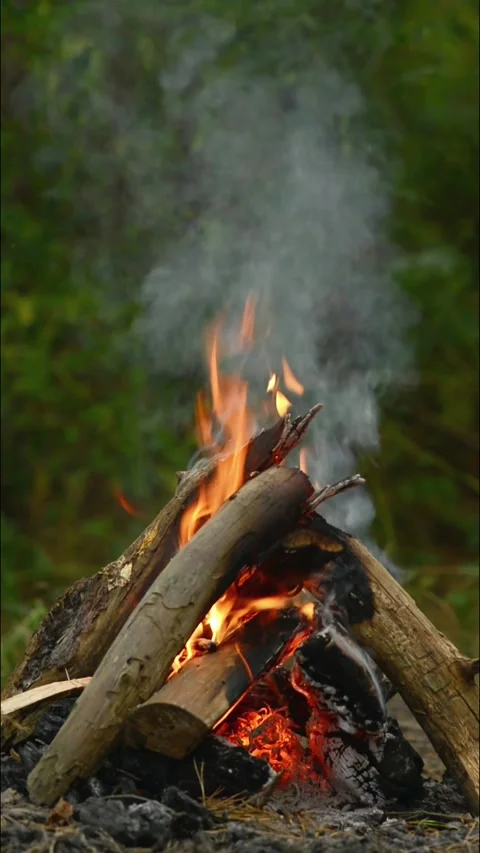 Smoke and Crackling Campfire Flames Loop Stock-Footage 344746622