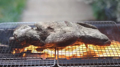 Smoke and fire Barbeque Beef Stock-Footage 108559479