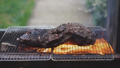 Smoke and fire Barbeque Beef Stock-Footage 108559583