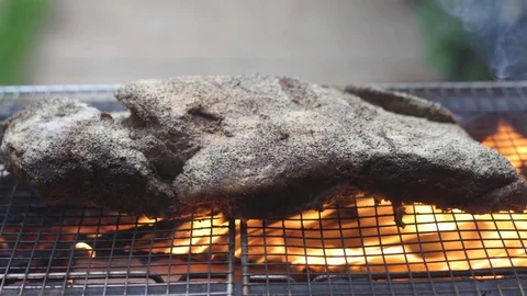 Smoke and fire Barbeque Beef Stock-Footage 108633407