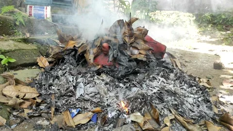 Smoke and fire from burning garbage and dry leaves Stock Footage 233654767