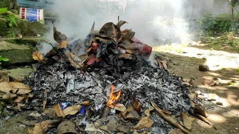 Smoke and fire from burning garbage and dry leaves Stock Footage 233654829