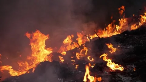 Smoke and fire from burning waste materials. Stock Footage 304575855