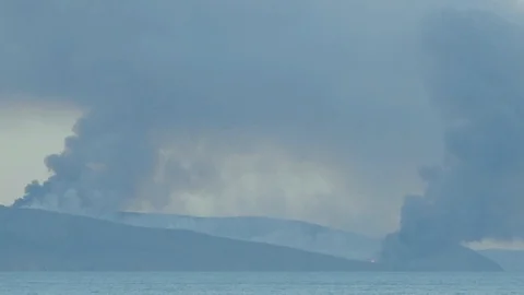 Smoke and fire in conservation park Stock Footage 106615799