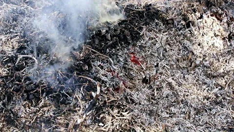 Smoke and fire Stock Footage 90471461
