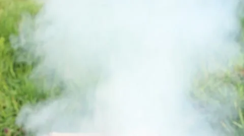 Smoke and the grass Stock Footage 48844918