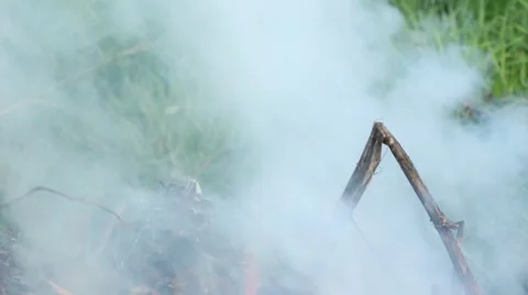 Smoke and the grass Stock Footage 48846757