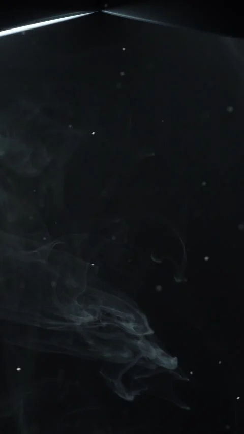 Smoke and Particles on Black Vertical View Vidéo 335206619