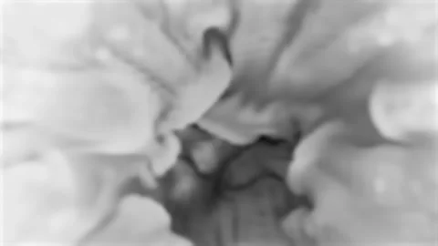 Smoke and tornado loop effect Video stock 263002162