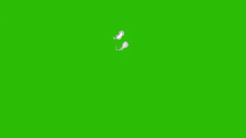 Smoke animation on green screen Vidéo 330680013