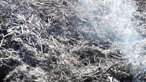 Smoke ash Stock Footage 133504163