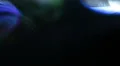 Smoke Aurora LM03 Loop HD Footage