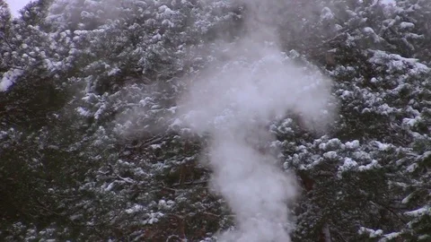 The smoke in the background of snowy pine trees Stock-Footage 71361900