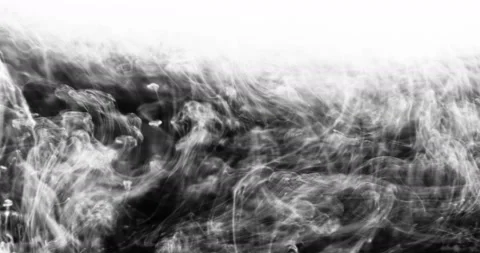 Smoke background. White smoke floating through space against black background Stock Footage 116021099