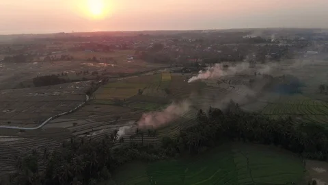 Smoke in Bali rice fields Stock Footage